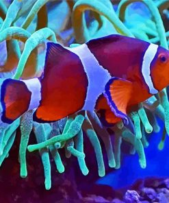 Clownfish Underwater paint by numbers