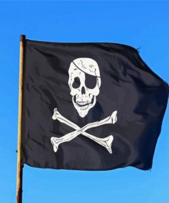 Pirate Flag paint by numbers