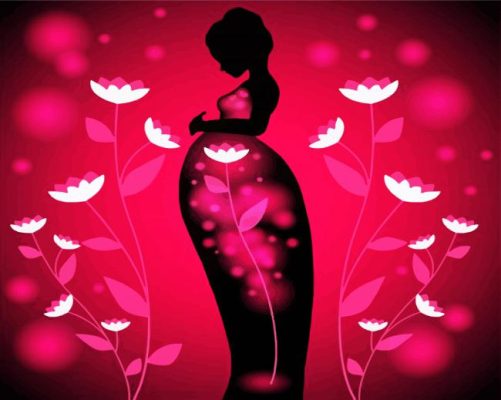Pregnant Floral Lady paint by numbers