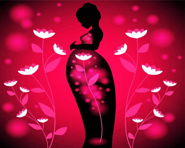 Pregnant Floral Lady paint by numbers