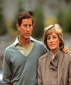 Prince Charles And Princess Diana paint by numbers