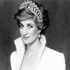 Black And White Princess Diana paint by numbers