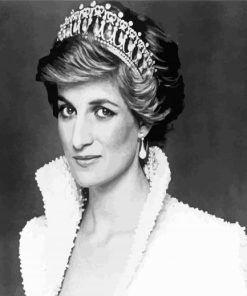 Black And White Princess Diana paint by numbers