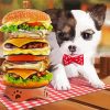 Hamburger And Puppy paint by numbers