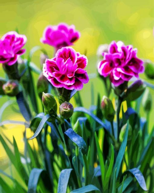 Purple Carnations paint by numbers