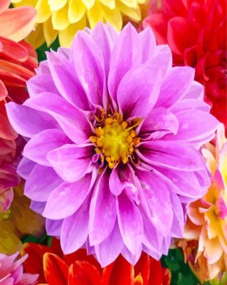 Purple Dahlia Flower paint by numbers