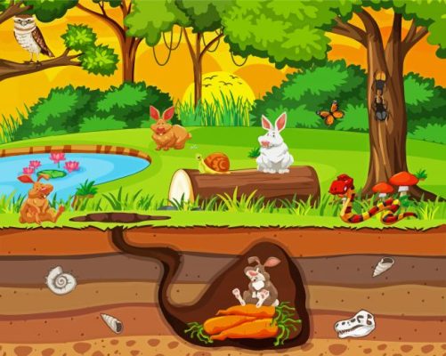 Rabbit Burrow paint by numbers
