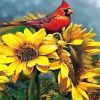 Red Cardinal On Sunflowers paint by numbers