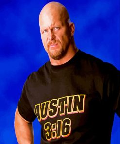 The Wrestler Steve Austin paint by numbers