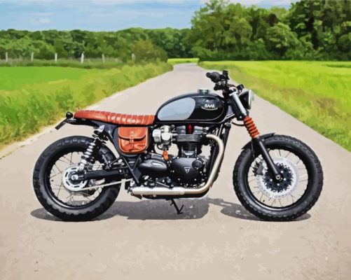 Cool Triumph Motorcycle paint by numbers