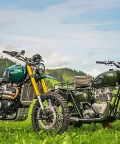 Triumph Motorcycles On Grass paint by numbers