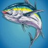 Tuna Fish Illustration paint by numbers