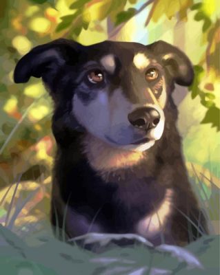Cute Dog Animal paint by numbers