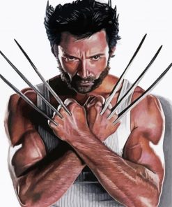 Wolverine Superhero paint by numbers