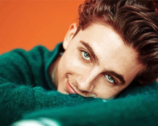 Handsome Timothée Chalamet paint by numbers
