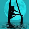 Aerialist Silhouette paint by numbers