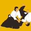 Aikido Sport paint by numbers