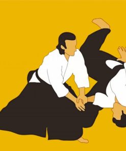 Aikido Sport paint by numbers