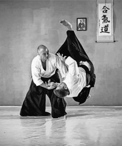 Black And White Aikido Techniques paint by numbers