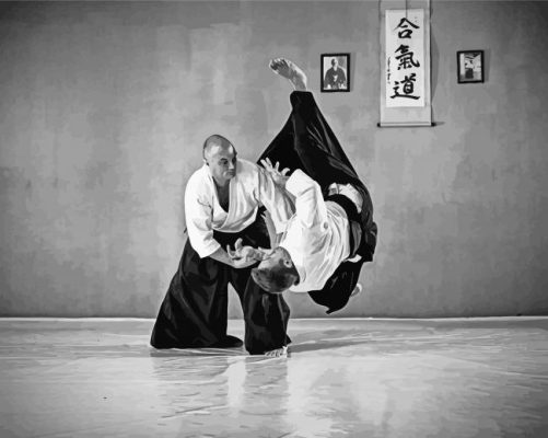 Black And White Aikido Techniques paint by numbers