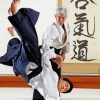 Japanese Aikido Art paint by numbers