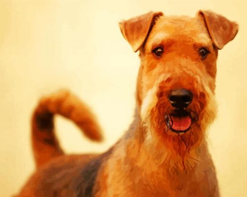 Cute Airedale Terrier Dog paint byb numbers