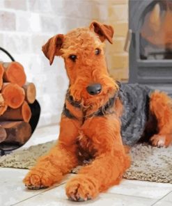 Nice Airedale Terrier Dog paint by numbers