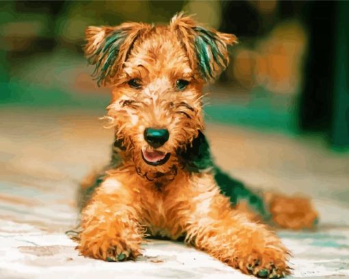 Airedale Terrier Dog paint by numbers