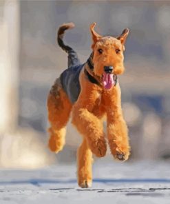 Airedale Terrier Running paint by numbers