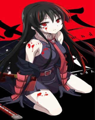 Akame Japanese Character paint by numbers