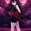 Akame Manga Anime paint by numbers
