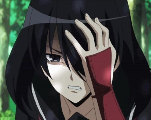 Akame Japanese Anime paint by numbers