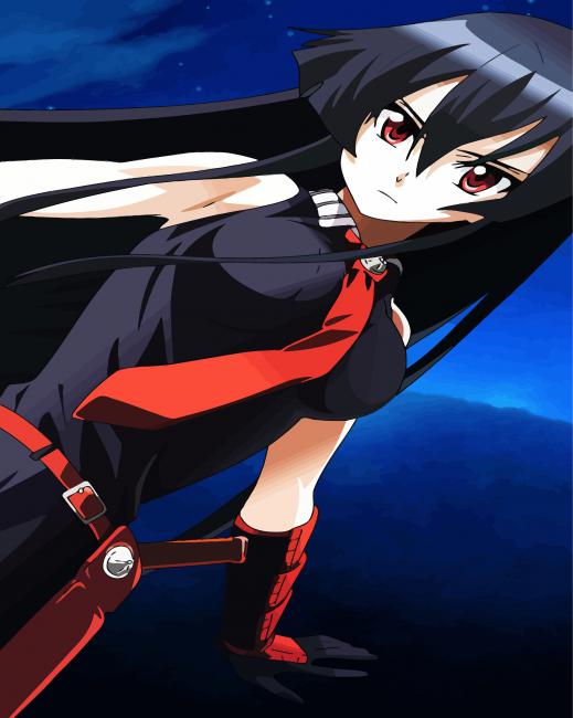 Beautiful Akame paint by numbers
