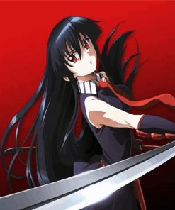 Akame Character With Katana paint by numbers