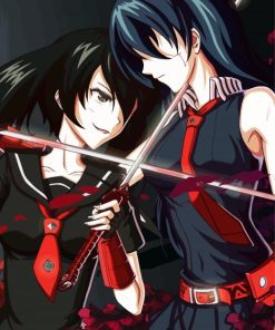 Kurome Vs Akame paint by numbers