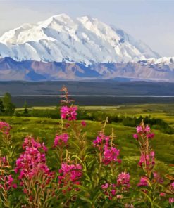 Denali Mountain paint by numbers