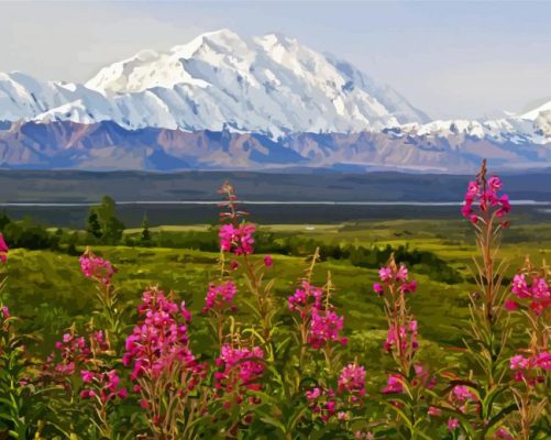 Denali Mountain paint by numbers