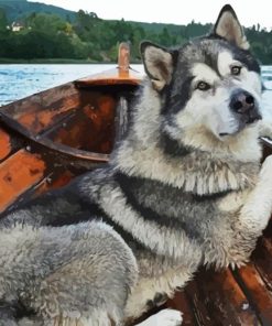 Alaskan Malamute Dog paint by numbers