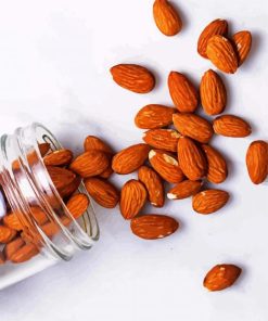 Almonds In Jar paint by numbers