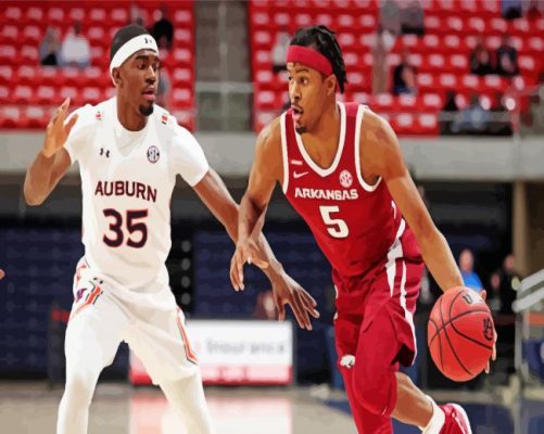 Arkansas Razorbacks Men's Basketball Player paint by numbers