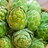 Artichokes Healthy Food paint by numbers