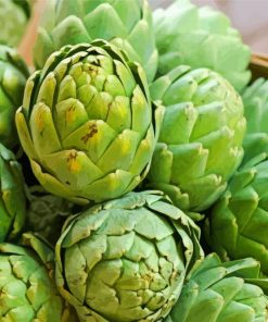 Artichokes Healthy Food paint by numbers