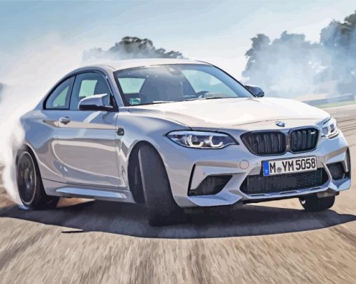 BMW M2 Car paint by numbers