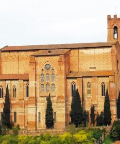 Basilica Of San Domenico paint by numbers