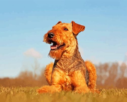 Beautiful Airedale Terrier paint by numbers