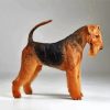 Black And Brown Airedale Terrier paint by numbers