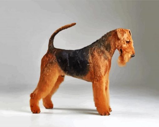 Black And Brown Airedale Terrier paint by numbers