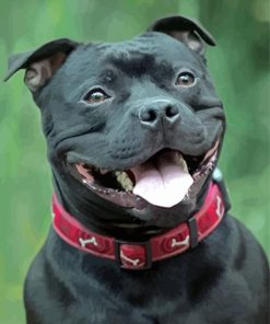 Cute Staffordshire Bull Terrier Smiling paint by numbers