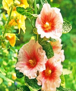 Blooming Hollyhocks Flowers paint by numbers