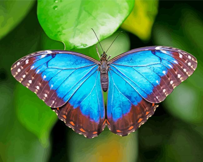 Aesthetic Blue Morpho Butterfly paint by numbers